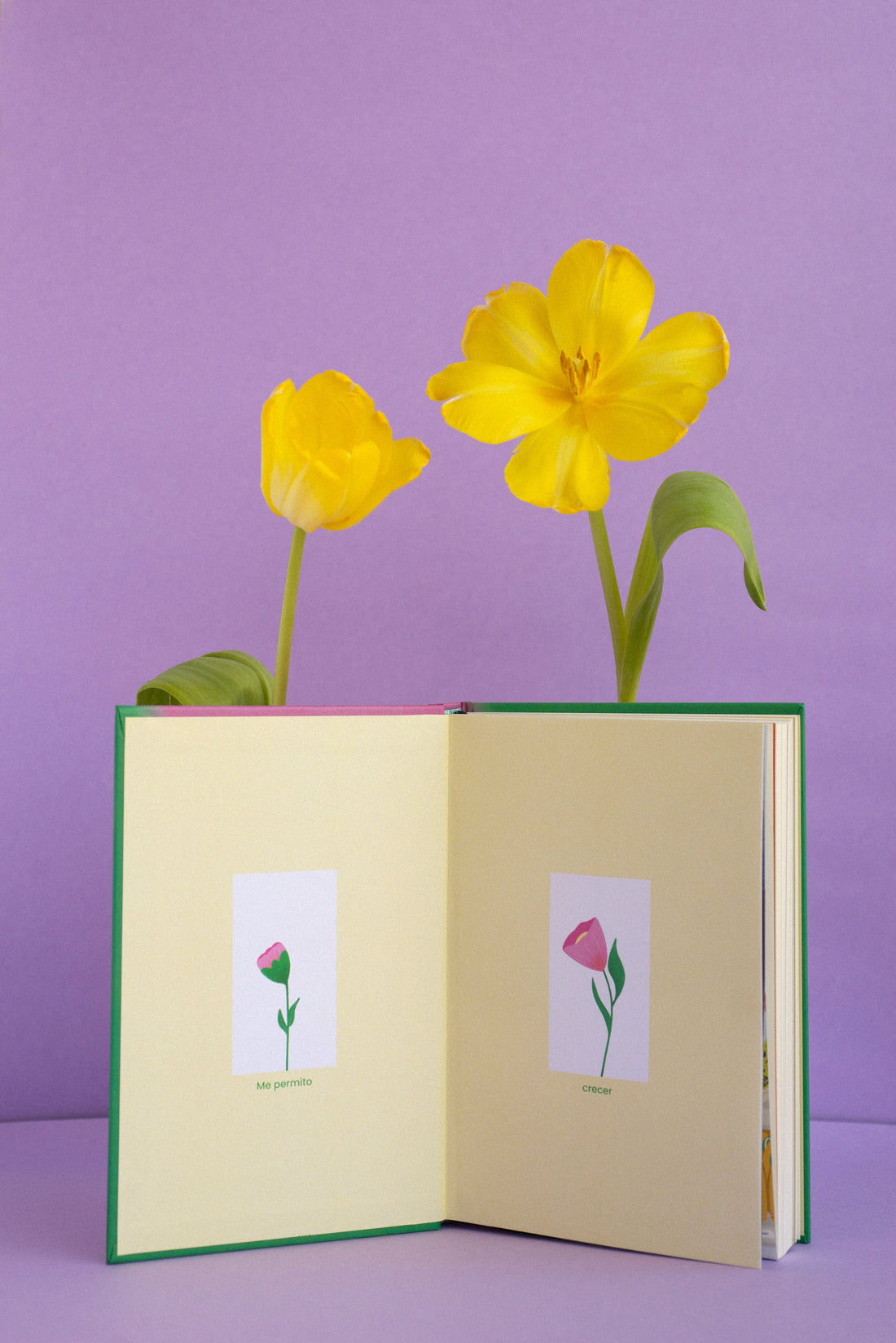 Cómo crear tu ritual de journaling: