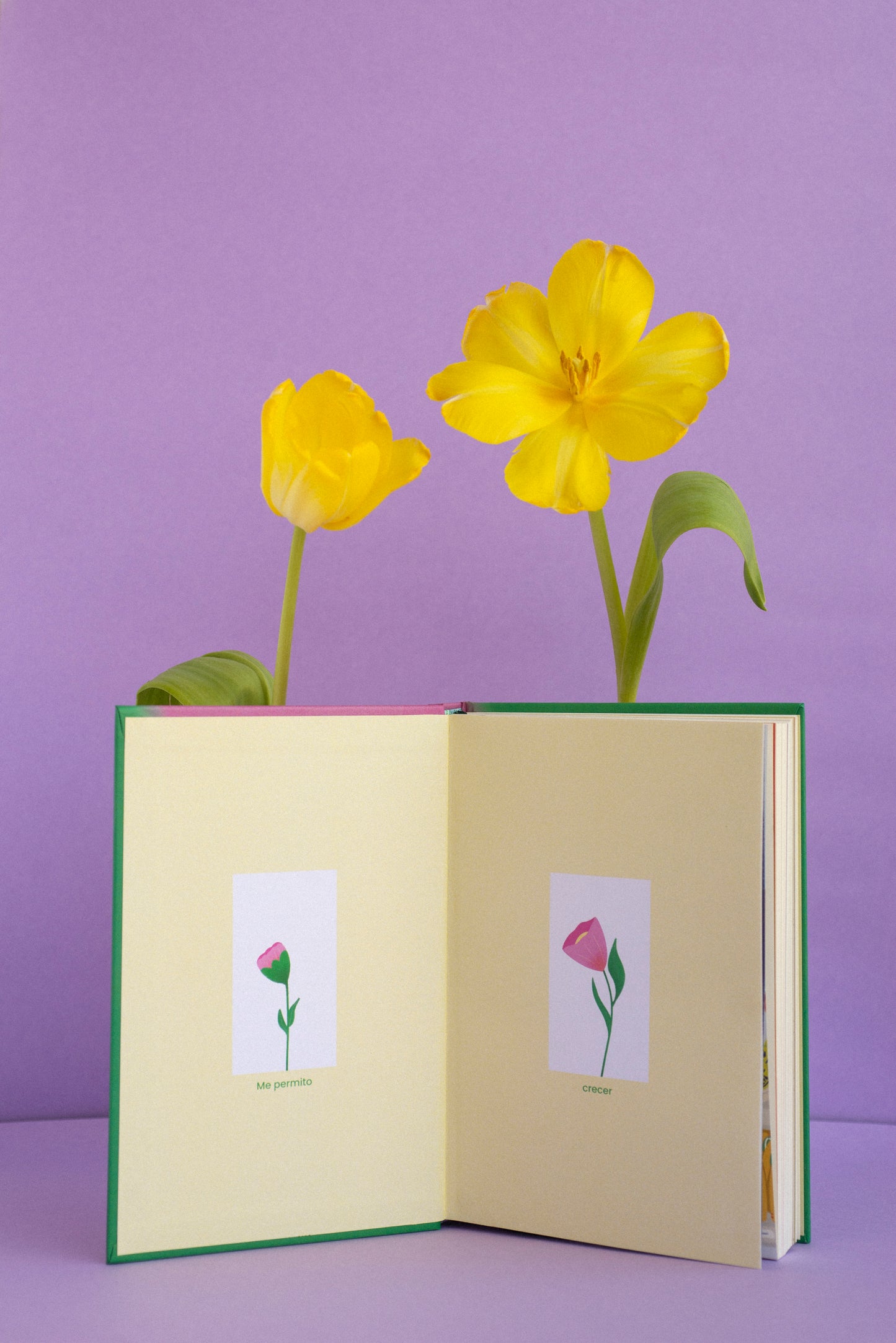 Edición Limitada verde | Feel Good Journal