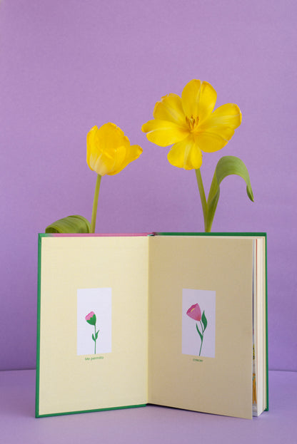 Edición Limitada verde | Feel Good Journal