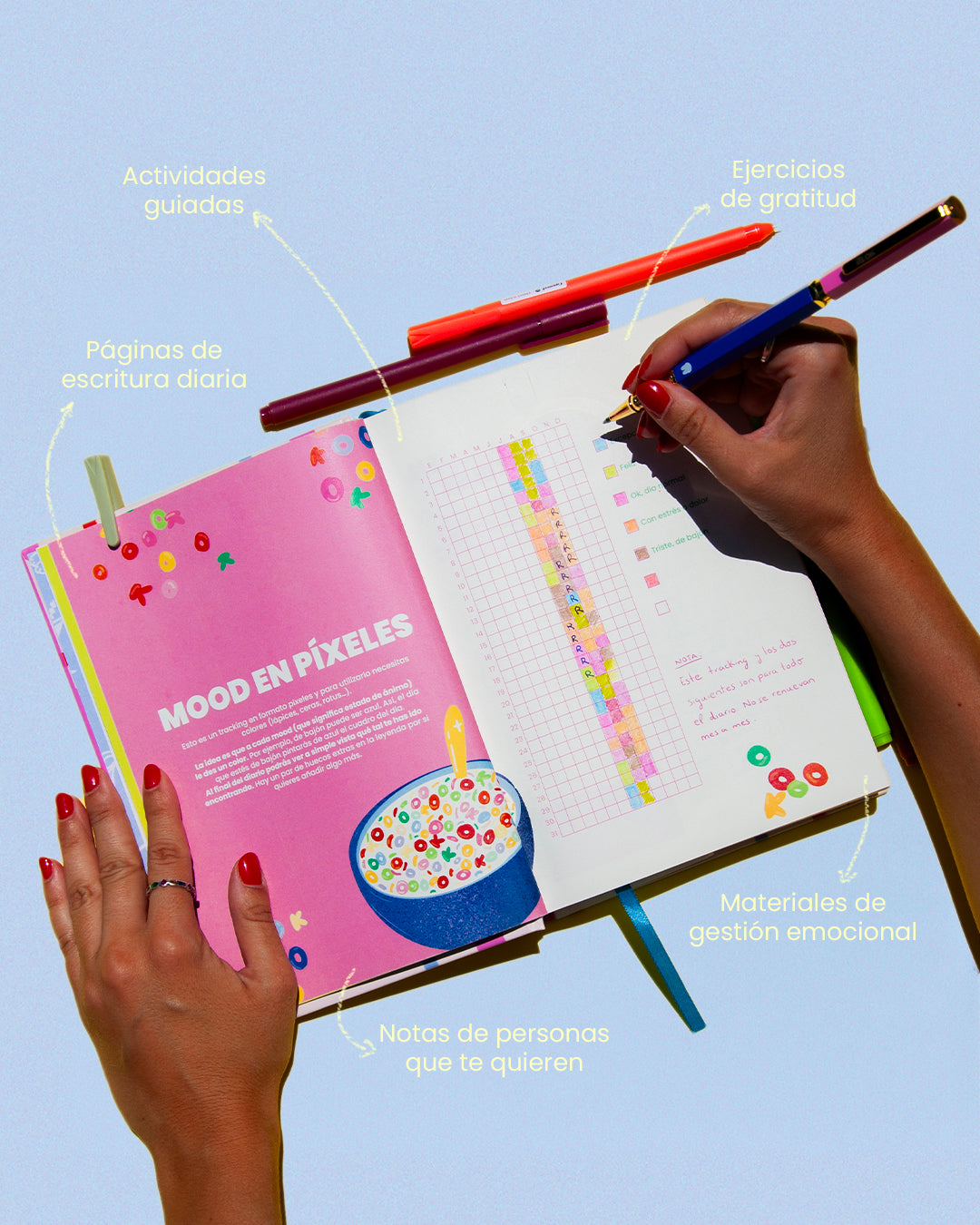 Feel Good Journal | Portada Picnic